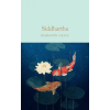 Pan MacMillan Siddhartha | Hermann Hesse