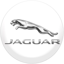 Panacea Epoxigyanta matricák Jaguar kerékagyra, 4 db autóalkatrész