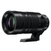 Panasonic Leica DG Vario-Elmar 100-400mm f/4-6 3 ASPH