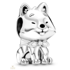 Pandora Places charm - 799030C01