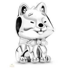 Pandora Places charm - 799030C01 egyéb ékszer