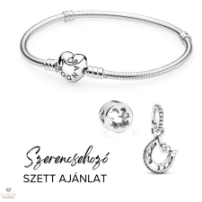 Pandora Szerencsehozó szett - Pandora szett 202503 ékszer szett