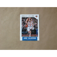 Panini 2015-16 Hoops #243 Jose Calderon gyűjthető kártya
