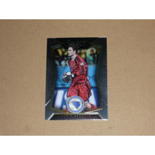 Panini 2015 Select #42 Asmir Begovic gyűjthető kártya