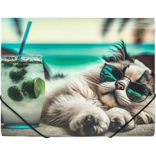 PANTA PLAST Chillout Cat A4 Gumis mappa - Mintás (5902156065412) mappa