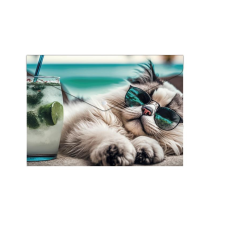 PANTA PLAST Chillout Cat A5 180 mikronos irattartó tasak - Mintás (0410-0069-54) irattartó