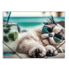 PANTA PLAST Gumis mappa, 15 mm, PP, A4, PANTA PLAST "Chillout cat"