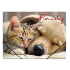 PANTA PLAST Gumis mappa, 15 mm, PP, A4, PANTA PLAST "Friendship" mappa