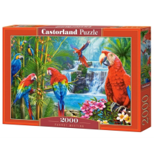Papagájok találkozója puzzle 2000 db puzzle, kirakós