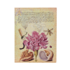 Paperblanks Pink Carnation Mira Botanica Softcover Flexis Ultra Lined Elastic Band 176 Pg 100 GSM