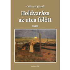 Papirusz Book Holdvarázs az utca fölött - Versek irodalom
