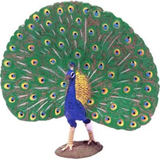 Papo páva figura (25947) játékfigura