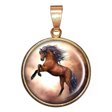  Paripás medál lánccal vagy kulcstartóval nyaklánc