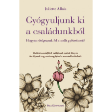 Park Könyvkiadó Gyógyuljunk ki a családunkból társadalom- és humántudomány