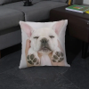  Párnahuzat Francia bulldog 5