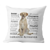  Párnahuzat Labrador retriever 1