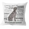  Párnahuzat Weimari vizsla 2