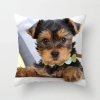  Párnahuzat Yorkshire terrier 8