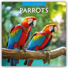 Parrots - Papageien 2025 - 16-Monatskalender naptár, kalendárium