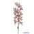  Pasztel színű cymbidium - Cirmos