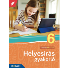 Patonainé Kökényesi Katalin - Helyesírás gyakorló 6. osztály egyéb könyv