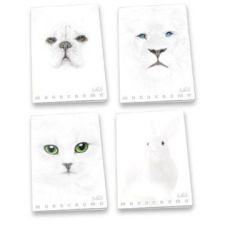 Pátria Nyomda Pigna: Monocromo White négyzetrácsos füzet, A4 - többféle füzet