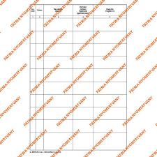 Pátria Nyomtatvány Betegnapló 100 lapos könyv 205x295 mm nyomtatvány