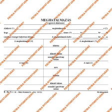 Pátria Nyomtatvány Meghatalmazás egyszeri alkalomra szabadlap 170x120 mm nyomtatvány