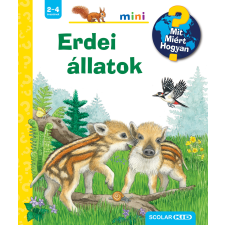 Patricia Mennen - Erdei állatok - Mit? Miért? Hogyan? Mini egyéb könyv