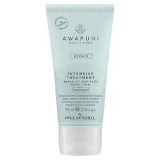 Paul Mitchell - Awapuhi Wild Ginger Intensive Treatment 75ml hajbalzsam