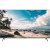 PEAQ PTV 65GQU-5025C