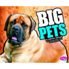 Pebble Plus Big Pets | Catherine Ipcizade,Jennifer Zablotny,Gail Saunders-Smith