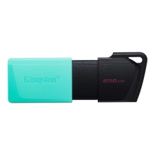 Pendrive kingston datatraveler exodia m 256gb usb3.2 gen1 pendrive