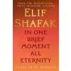 Penguin Books In One Brief Moment All Eternity | Elif Shafak