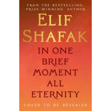 Penguin Books In One Brief Moment All Eternity | Elif Shafak idegen nyelvű könyv