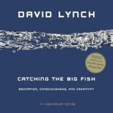 Penguin Publishing Group Catching the Big Fish | David Lynch egyéb könyv