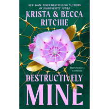 Penguin Publishing Group Destructively Mine | Becca Ritchie egyéb könyv