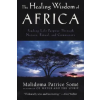 Penguin Putnam Inc Healing Wisdom of Africa | Malidoma Patrice Some