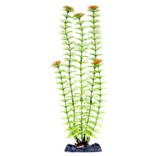 PENN PLAX Műnövény 33 cm Plant-XL Ambulia akvárium dekoráció