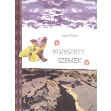 People Team Millennium Elveszett szemek regény