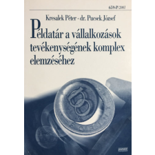 Perfekt Példatár a vállalkozások tevékenységének gazdasági elemzéséhez - Blumné Bán Erika; Dr. Birher Ilona antikvárium - használt könyv