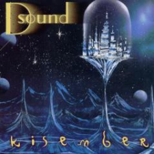 Periferic Records D Sound - Kisember (CD) egyéb zene