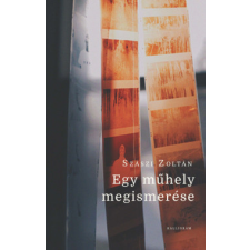 Pesti Kalligram Egy műhely megismerése regény