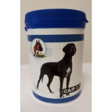 Pet Product CA/P 2.1 vitamin 160db vitamin, táplálékkiegészítő kutyáknak