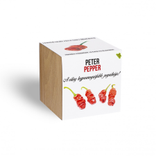Peter Pepper chili paprika növényem fa kockában fa és növény