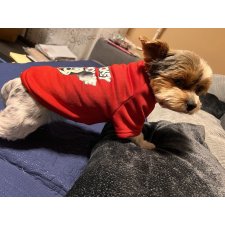 PetGear Kutyaruha - Mickey és Minnie pulóver - Piros - XL kutyaruha