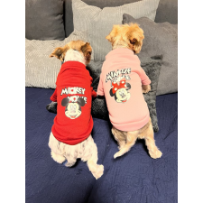 PetGear Kutyaruha - Mickey és Minnie pulóver - Rózsaszín - S kutyaruha