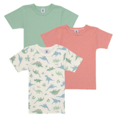 Petit bateau Rövid ujjú pólók 3 TEE SHIRTS MC Sokszínű 5 éves