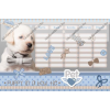  Pets kétoldalas órarend