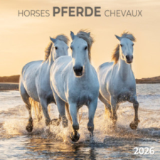  Pferde/Horses 2026 naptár, kalendárium